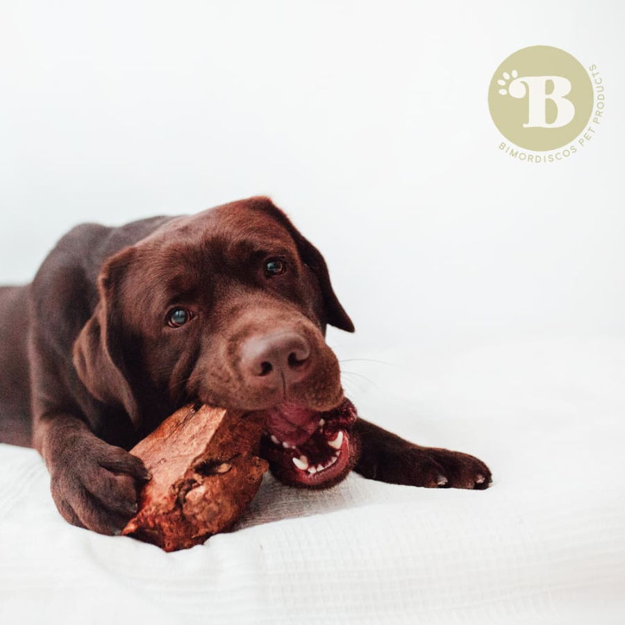 BIMORDISCOS Ra&iacute;z de brezo para perros, , large Imagen numero 2